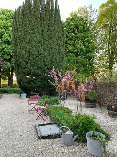 a garden with a bench and some plants and trees at La Flavignienne in Flavigny-sur-Ozerain