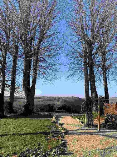 a path through the park with trees in the background at La Flavignienne in Flavigny-sur-Ozerain
