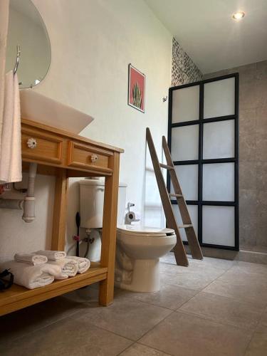 a bathroom with a toilet and a sink and a mirror at Casa Matia Colonial Garden Home in San Miguel de Allende
