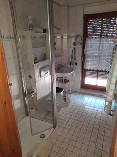 uma casa de banho com um chuveiro, um WC e um lavatório. em Meyerhof em Wittenweier