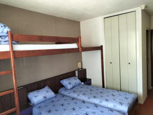 a bedroom with two bunk beds and a ladder at Chambre Triple avec Salle de Bains Privative 3 in Vallouise