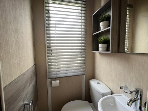 een badkamer met een toilet, een wastafel en een raam bij Forest lodge in Sway