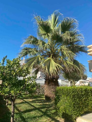Jardín al aire libre en Ceka Apartments