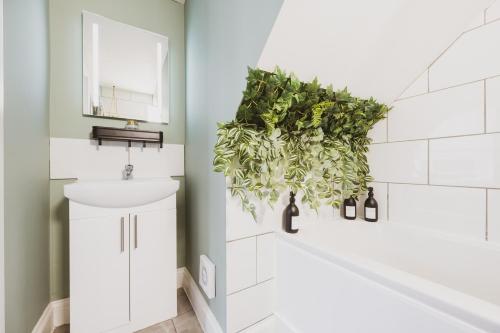 baño con una planta colgada de la pared en Luxury Central Retreat with Off Road Parking, en Southampton