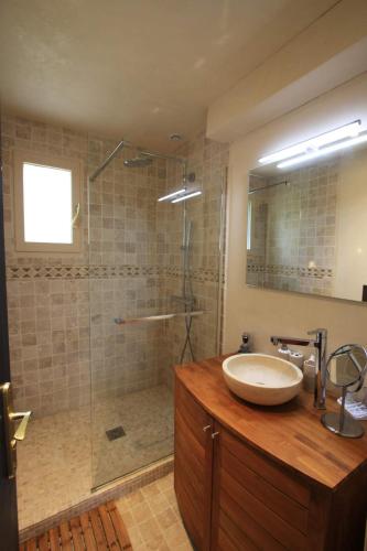 une salle de bain avec un lavabo et une douche dans l'établissement Maison Daubigny, à Corne-Biche