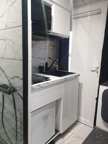 une petite cuisine avec un évier et un micro-ondes dans l'établissement Shorty House, à Brétigny-sur-Orge