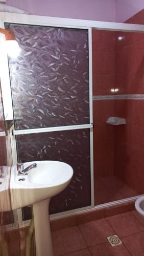 y baño con ducha con lavabo y puerta de ducha acristalada. en Yoli house en Puerto Iguazú