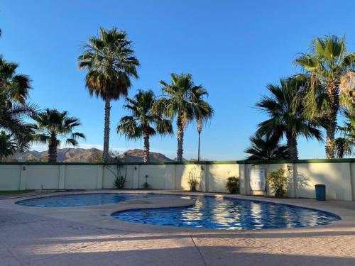 uma piscina num pátio com palmeiras em Casa en San Carlos cerca de playa em San Carlos