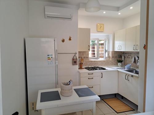 uma cozinha com um frigorífico e um balcão em La Casetta delle sirene Anzio em Anzio