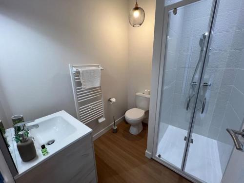 La salle de bains est pourvue d'une douche, d'un lavabo et de toilettes. dans l'établissement Superbe studio centre ville * clim * WIFI * Haut de gamme *, à Angoulême