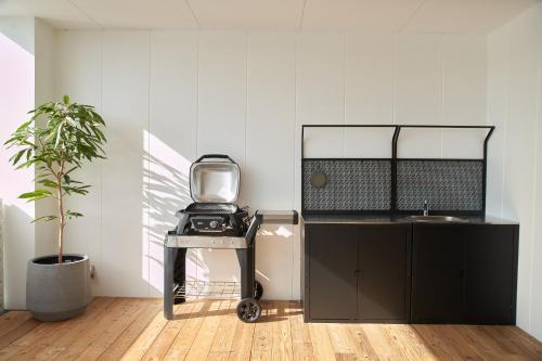 a tv on a stand in a room with a plant at Villacation the Loose in Minamiawaji