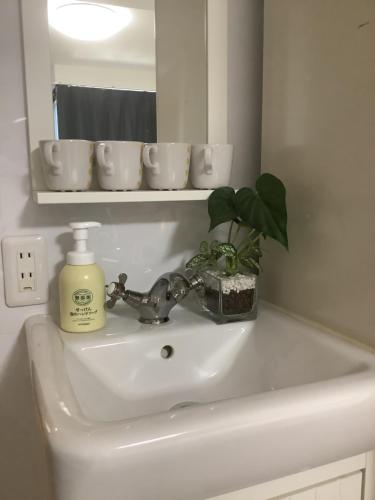 - un lavabo avec une bouteille de savon et une plante dans l'établissement 遊泊天王寺YupaStay, à Osaka
