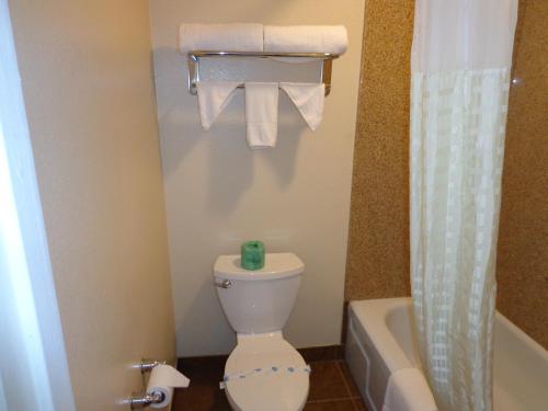 a bathroom with a toilet and a tub and a shower at Economy Inn Express Warren in Warren