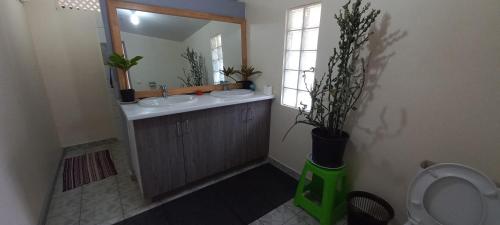 een badkamer met een wastafel, een spiegel en een toilet bij PENSION TOKA EVA in Nuku Hiva