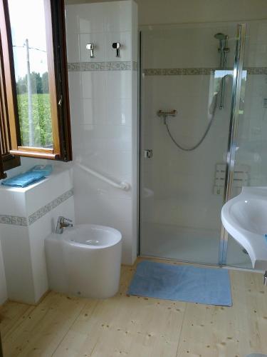 a bathroom with a shower and a toilet and a sink at Country House Salomè in Musile di Piave