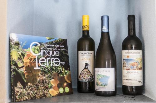 three bottles of wine sitting next to a book at Zia Letizia Bed And Wine in Monterosso al Mare