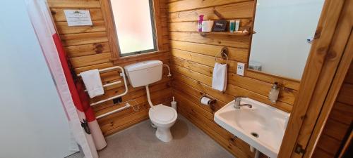 La salle de bains est pourvue de toilettes et d'un lavabo. dans l'établissement Forest Peak Motel, à Hanmer Springs