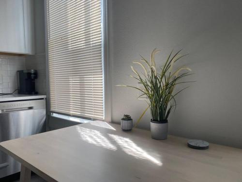 a kitchen with a table with a potted plant on it at Chic Bungalow Apartment steps from Armature Works & Downtown Riverwalk in Tampa