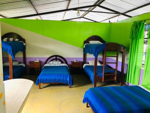 Zimmer mit 3 Etagenbetten und einer grünen Wand in der Unterkunft Zumag Sisa in Tena