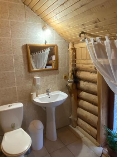 a bathroom with a white toilet and a sink at Oselia Mandrivnykiv in Tukhlya