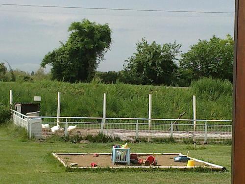 a field with a fence and birds in a field at Country House Salomè in Musile di Piave