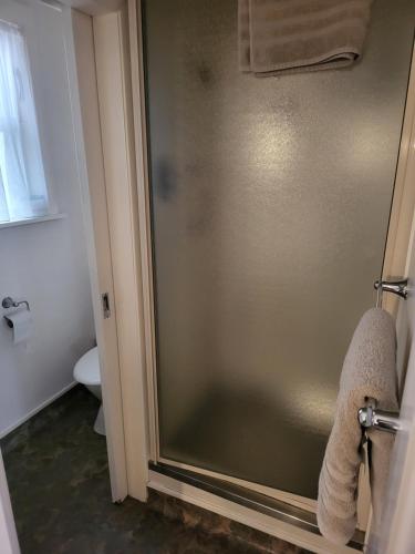 La salle de bains est pourvue d'une douche avec une porte en verre. dans l'établissement Totara Lodge Motel, à Levin