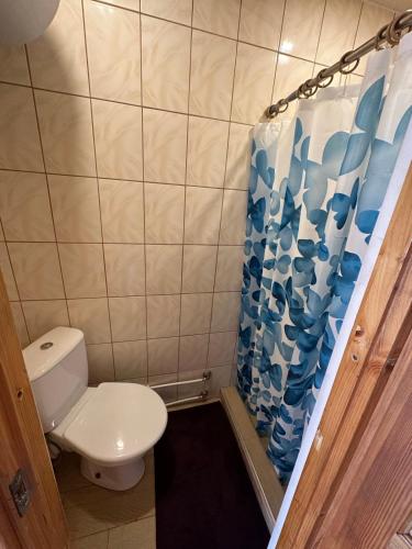 a bathroom with a toilet and a shower curtain at Sodyba Vilagio in Alanta