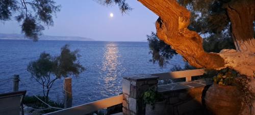 Φυσικό τοπίο κοντά σε αυτό το διαμέρισμα