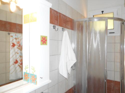 a bathroom with a shower with a shower curtain at Aristoula House in Sivota