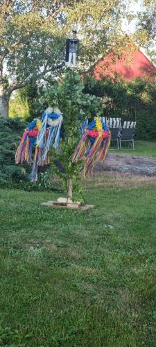 Hammarland的住宿－Paradiset，公园里一棵树上放着色彩缤纷的风筝