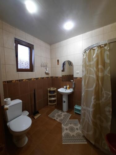a bathroom with a toilet and a sink at Комфортный in Karpaty