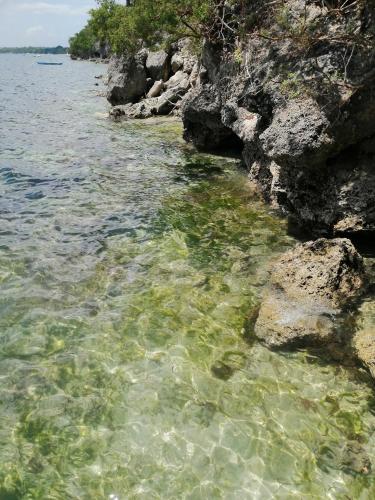 Φυσικό τοπίο κοντά σε αυτό το διαμέρισμα