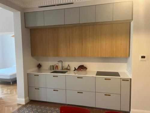 Spacieux logement bourgeois, lumineux et central