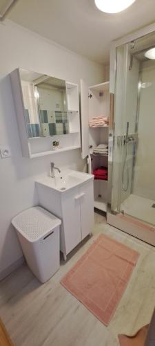 a bathroom with a sink and a shower at Maison de bourg in Jumeaux
