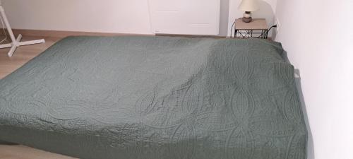 a bed with a green blanket on top of it at Maison de bourg in Jumeaux