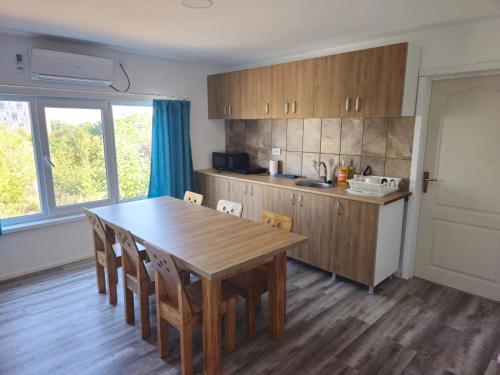 維納斯的住宿－Traflor Termhouse，厨房配有木桌和桌椅