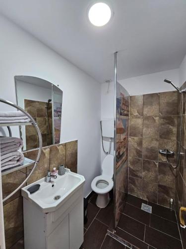 a bathroom with a sink and a toilet and a shower at Traflor Termhouse in Venus