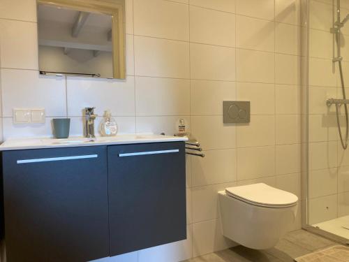 a bathroom with a toilet and a sink and a shower at B&B Stations Koffiehuis in Molkwerum