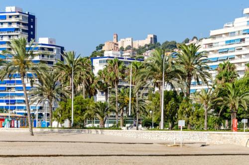 a beach with palm trees in front of tall buildings at Apartamento Mar y Arena in Cullera