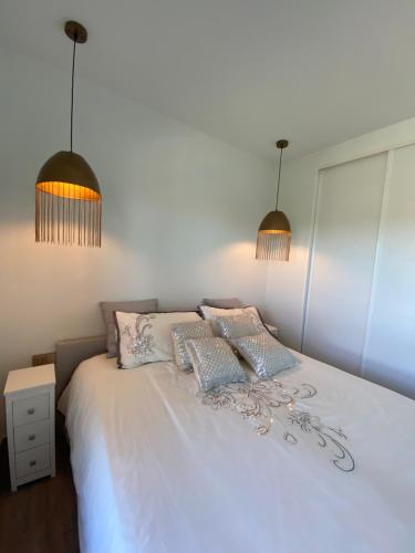 luxury apartment puerto banus