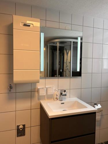 a bathroom with a sink and a mirror at Fe Wo Auf der Alb 