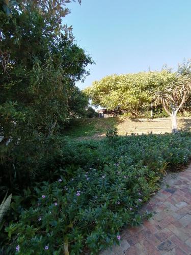 Κήπος έξω από το ELLIOT 22, 100m from beach & river mouth