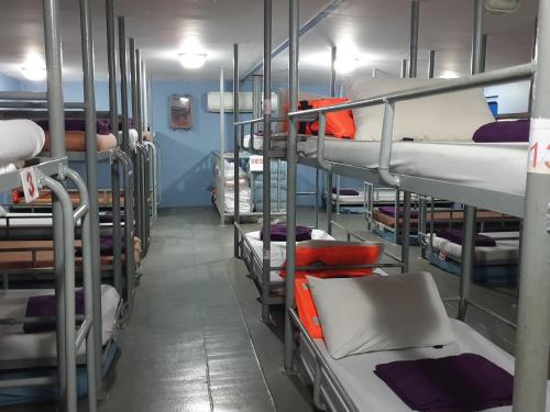 a room with many bunk beds in at Chumphon - Koh Tao Night Ferry in Chumphon