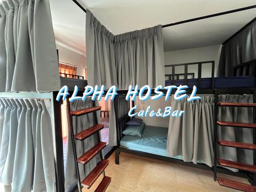 een kamer met een stapelbed en een ladder bij ALPHA Hostel Cafe&Bar in Ban Khlong Yai