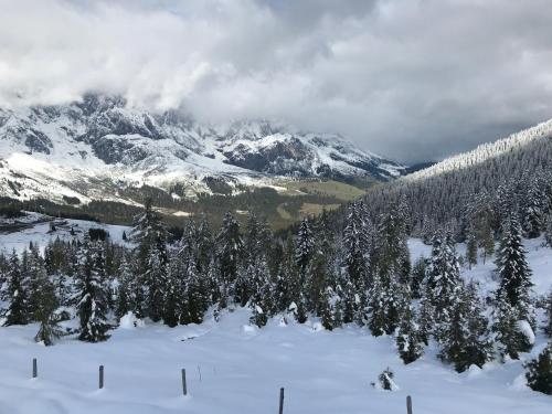 a group of trees in the snow with snow covered mountains at Alpendomizil Pia in Mühlbach am Hochkönig