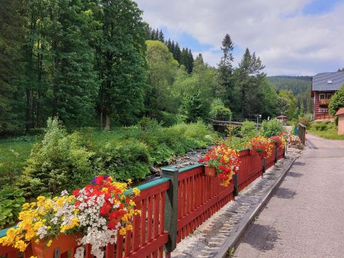 a garden with colorful flowers on a fence at Pension Modrá Hvězda in Dolní Malá Úpa
