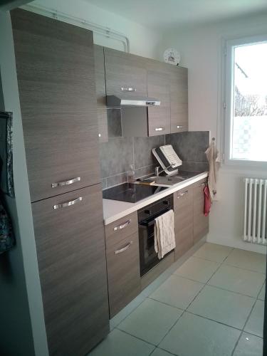 une cuisine avec des armoires en bois, un évier et une cuisinière dans l'établissement pont de l'aube, à Avignon