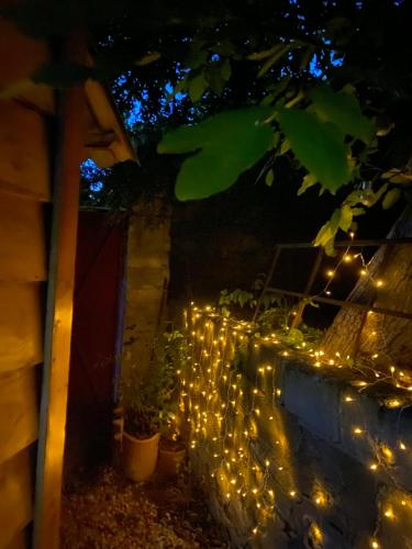 a string of lights on a fence at night at LA CACHETTE ROMANTIQUE DU Jardin in Barjols