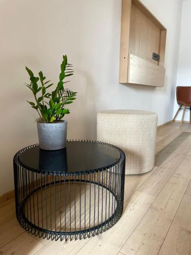 a black coffee table with a potted plant on it at Penzion Kolnička in Luka nad Jihlavou