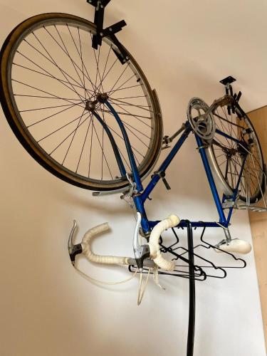 a bike hanging on a wall with a snake underneath it at Penzion Kolnička in Luka nad Jihlavou